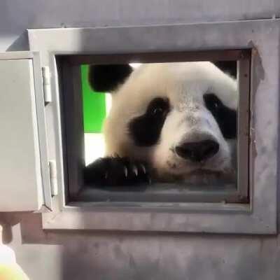 Stop closing the door on me!