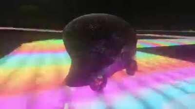 DaBaby goes racing pog