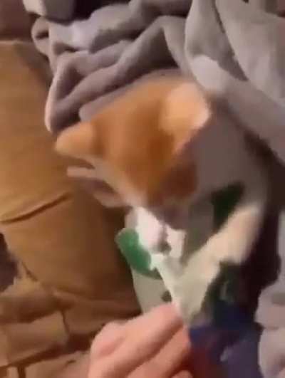 His wunk will NOT share ANY