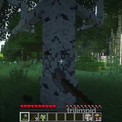 You play on your survival world and suddenly this guy appears, wyd?