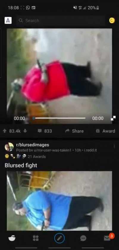 To have a blursed fight