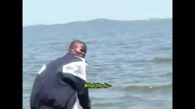 I found this beauty on Discord