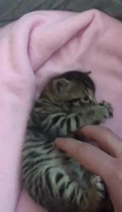 You&rsquo;ll need this when you wake up