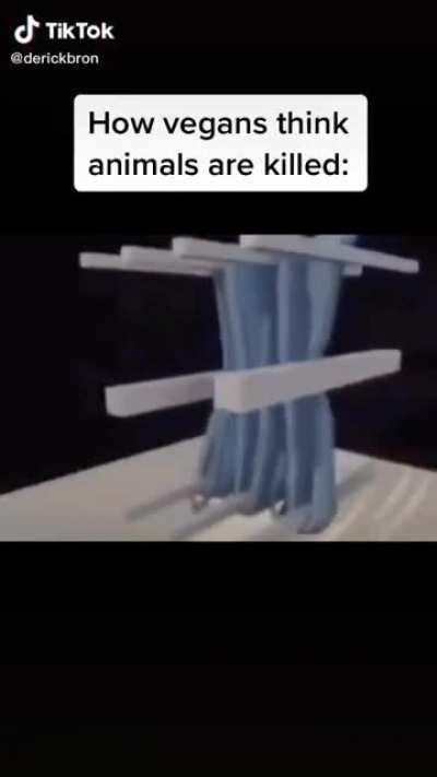 Is it that far from reality tho? hmmmm🤔