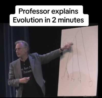 We're All Africans: Explained.