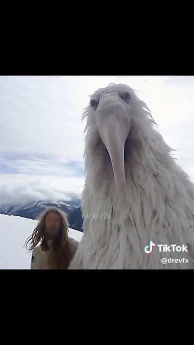 This becom more scary now 