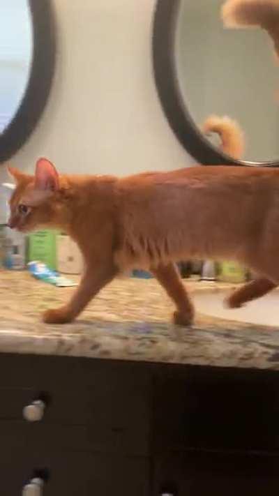 Hana snuck into the bathroom and had a lot to say