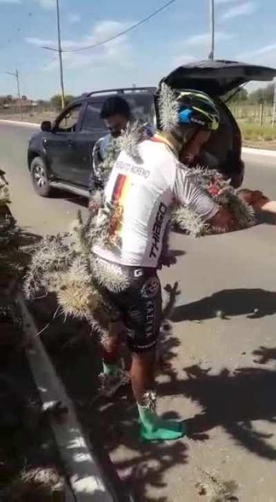 It hurts just by looking at it.