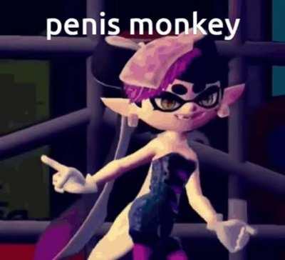 penis monkey