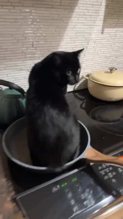 Zero self preservation instincts