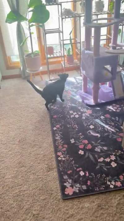 He demands this of me quite literally every day.