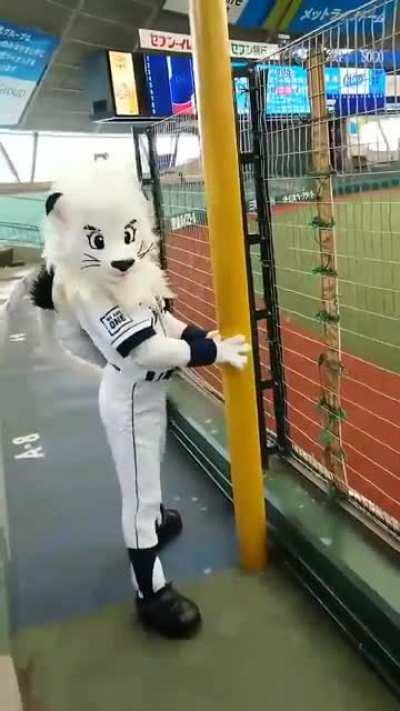 Mascot_irl