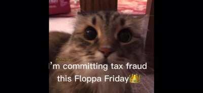 Happy floppa Friday!