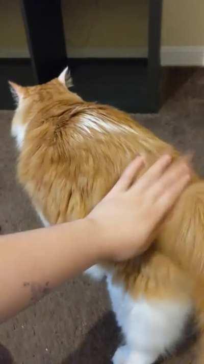 she flops over when shes excited lmao