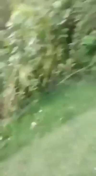 Yep don’t think they’re alright