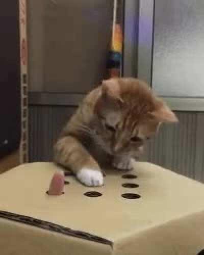 Oh no he can't hold the fingers..