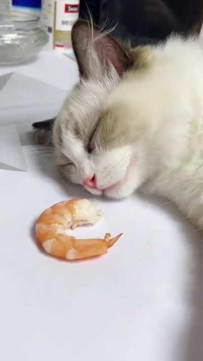 When dream became real!!