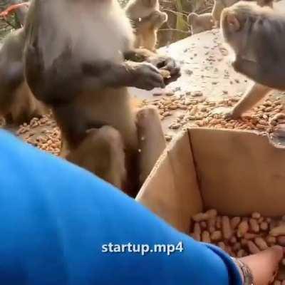 YOUR MOTHER HUNG HERSELF HRAAAAAGGGGGHHHHHHHH