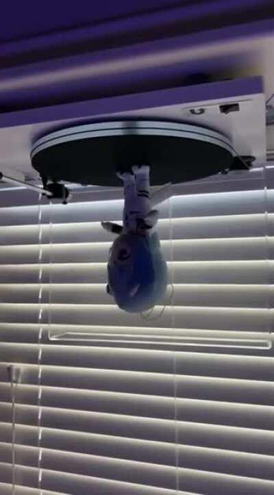 Inspired by Tarkus_the_Destroyer