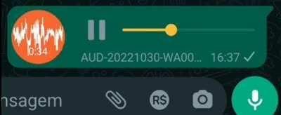 policiais descaradamente coagindo pessoas a votarem no minto