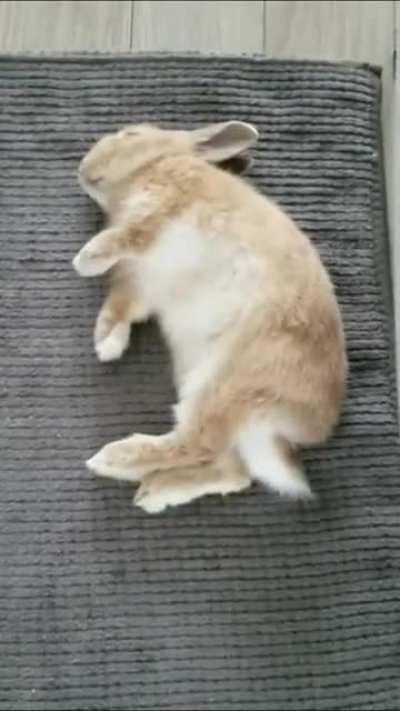 I just can't... the flop + air munching! ♡