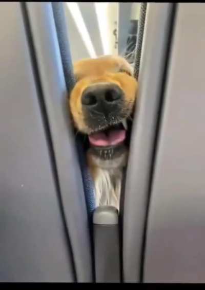 The best flight ever.