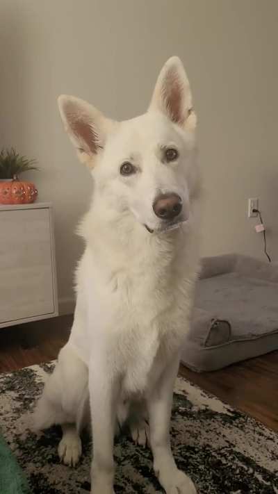 All I have to say is 