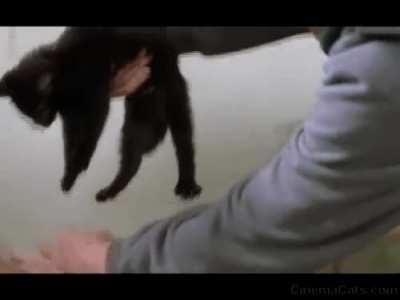 Katherine E. Miller - 'The January Man' (1989) This is her only film credit