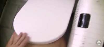 Australian shenanigans (ft. Angela white)