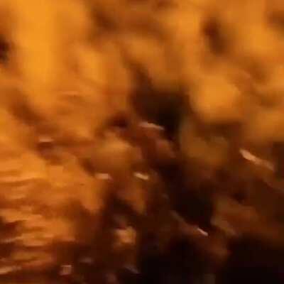 Idk what that is but I want one