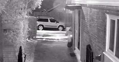 Trying to get into your house on a cold day.