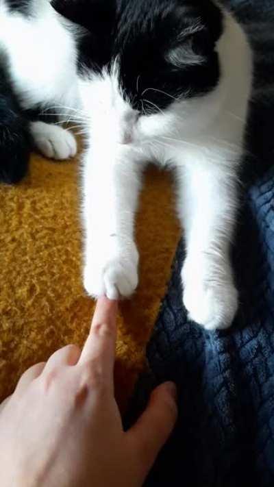 Activated the spready toes