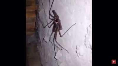 Tendarapo😎😎👌🏿👌🏿😭