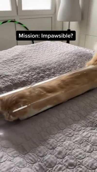 I got claustrophobic just by watching this😂