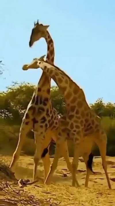 faulty models (sound on)