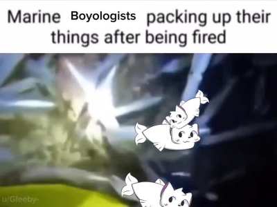 This line of work is rough :/