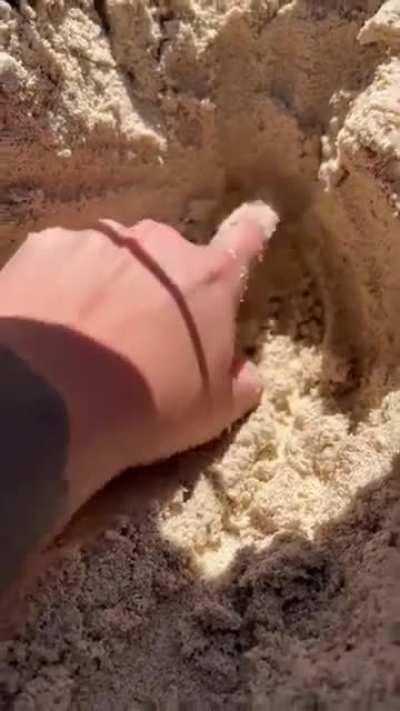 LL: Dont dig in a (sand) hole with your fingers