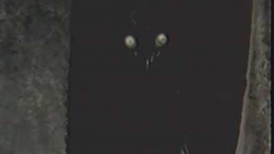 Made an analog horror video of Alien Baltan.