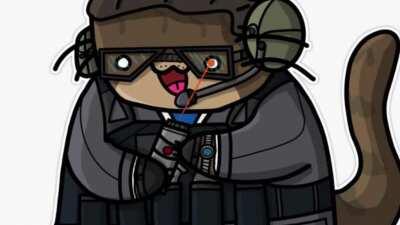 Warden mains be like: