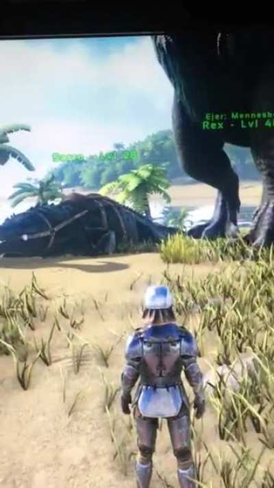 Didn’t know a Rex could just wake up like that but ok