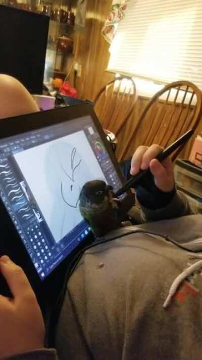 Whenever momma goes to draw shiloh wants to wrestle