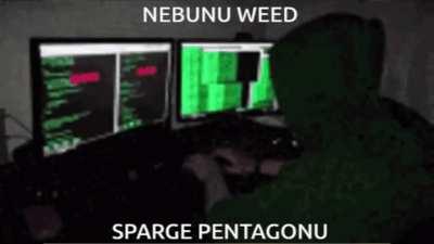 Nebubu weed sparghe el pentagon