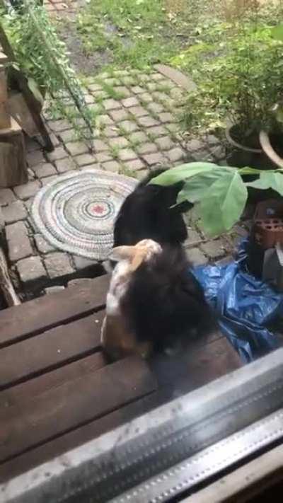 He will never be the same...