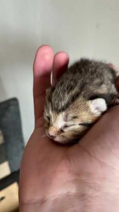 The cutest handful