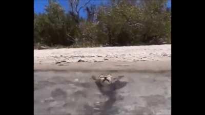 That terminator is out there, it cant be bargained with, it cant be reasoned with, it doesn't feel pity or remorse or fear, and it absolutely will not stop... EVER, untill you are dead!