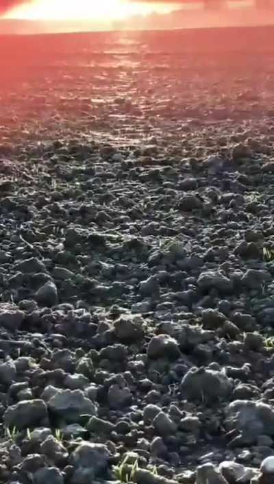 DaS iSt üBeRalL auF uNSerEn FelDerN