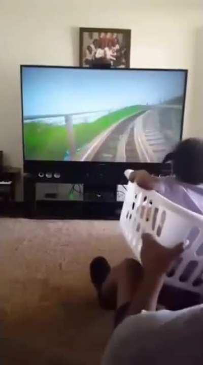 Dad's roller coaster