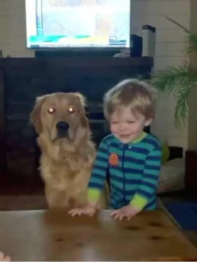 Dog returns a hug to his bro