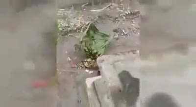 Islamists desecrate offerings made by local Hindus in Lumajang, East Java, Indonesia
