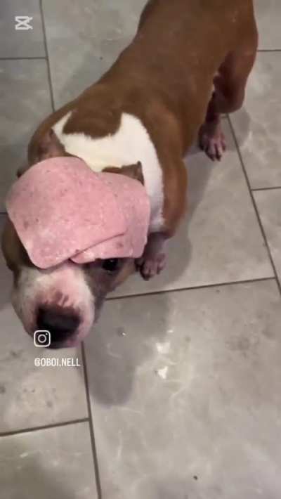 u got clam on yo head